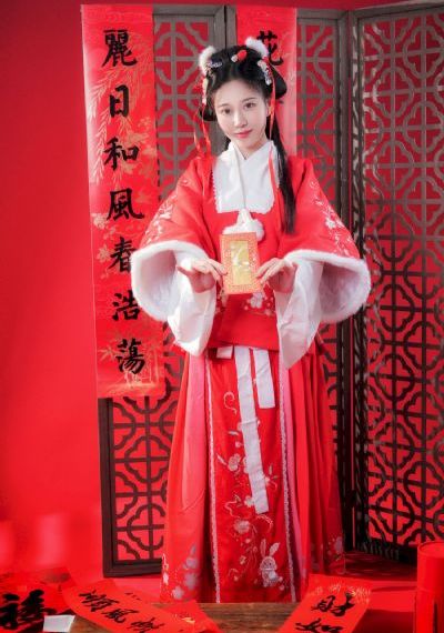 布衣天子_DVD手机在线观看