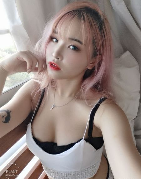 剧白白免费追剧_BD英语在线观看